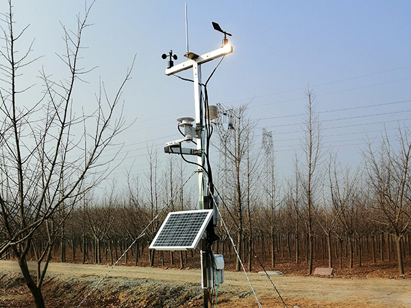 小型微型樱桃小视频在线观看网址lc-xz07